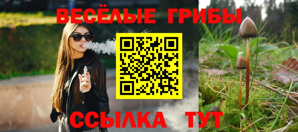 Псилоцибиновые грибы Cubensis  Псилоцибиновые грибы GOLDEN TEACHER  Красноармейск  Вход с VPN 